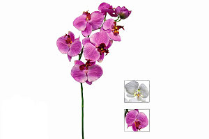 07988 Ветка орхидеи Фаленопсис 21113 
