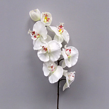 07985 Ветка орхидеи Фаленопсис 20014 